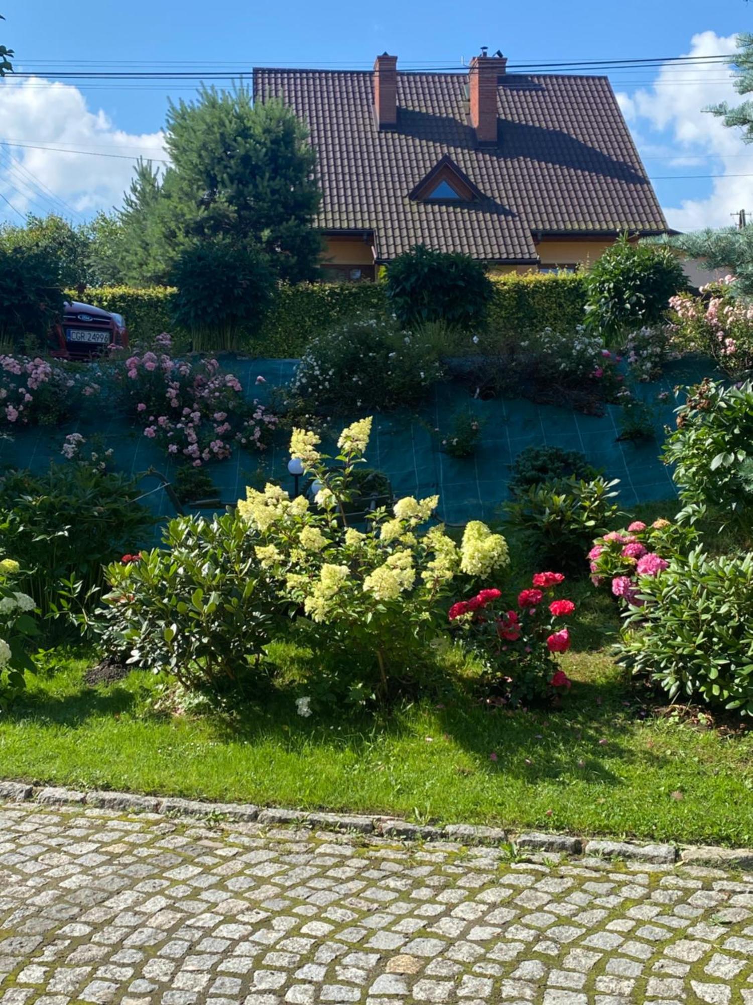 Pokoje U Jasia I Malgosi Skawa Kültér fotó